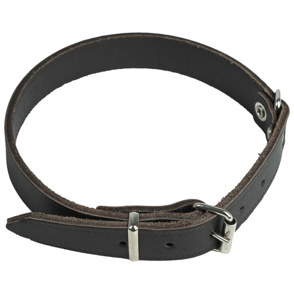 Halsband genietet aus Sattelleder braun