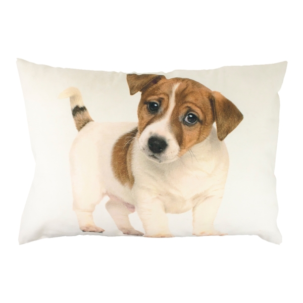 Kissen Jack Russel 35x50 cm