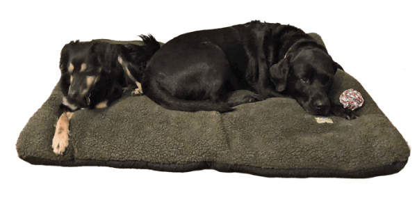 Hundekissen Gross Hundekissen Hund Schmidt Versand Gmbh Hundekissen Mit Decke