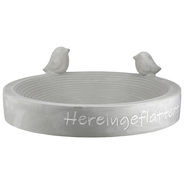 Vogeltränke Hereingeflattert